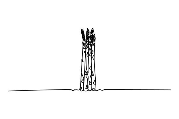 Asparagus One Continuous Line Graphics & Illustrations
