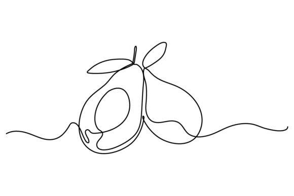 Avocado One Continuous Line Graphics & Illustrations
