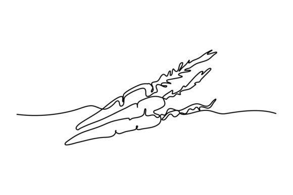 Carrot One Continuous Line Design Review