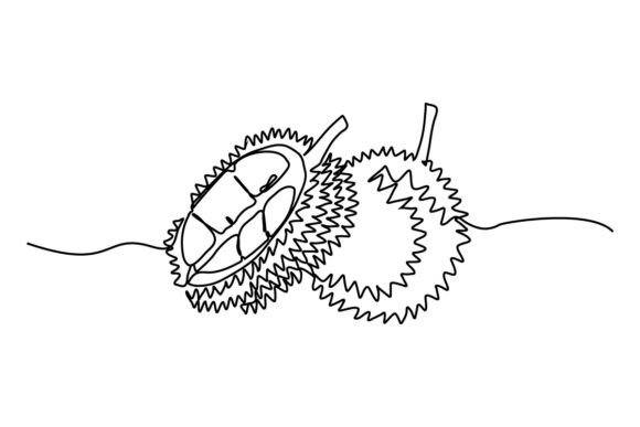 Durian One Continuous Line Graphics and Illustrations