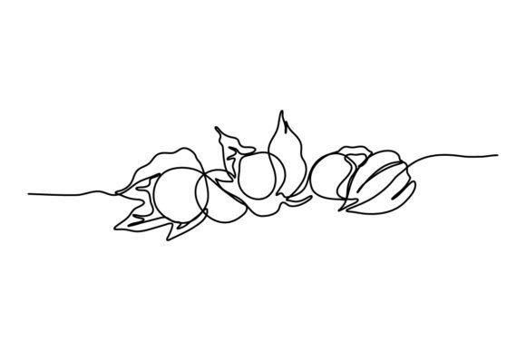 Golden Berry One Continuous Line Graphics & Illustrations