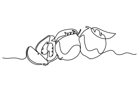 Guava One Continuous Line Graphics & Illustrations