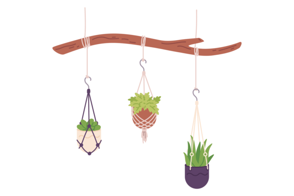 Houseplant Hanging from Tree Branch Graphics