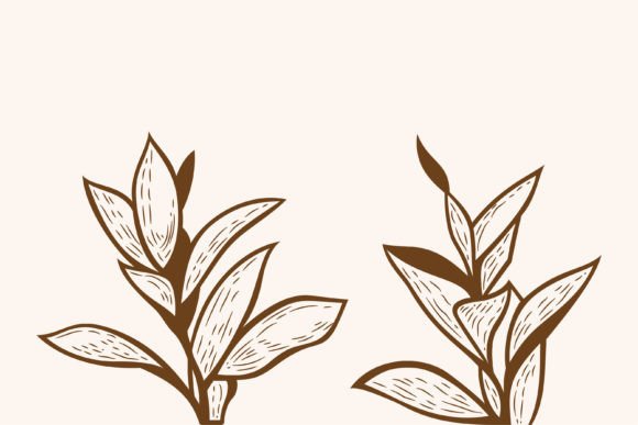 Leaf Plant Vintage Element: A Designer Review