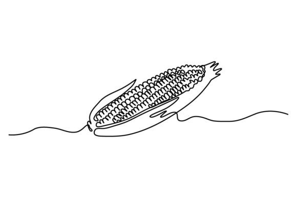 One Continuous Line Design: Graphics & Illustrations