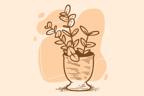 Ornamental Plants in Pots Illustration Graphics Review