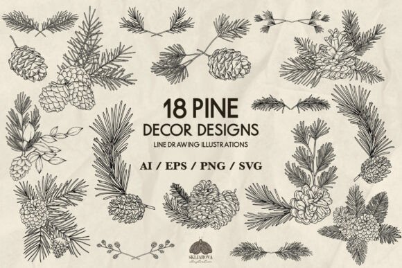 Pine Decor Designs: Graphics & Illustrations