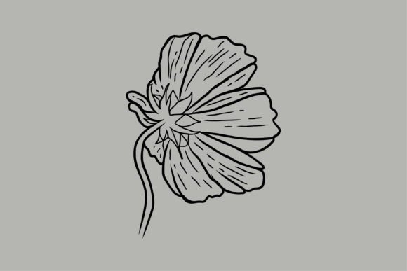 Vintage Flower Graphics & Illustrations Review
